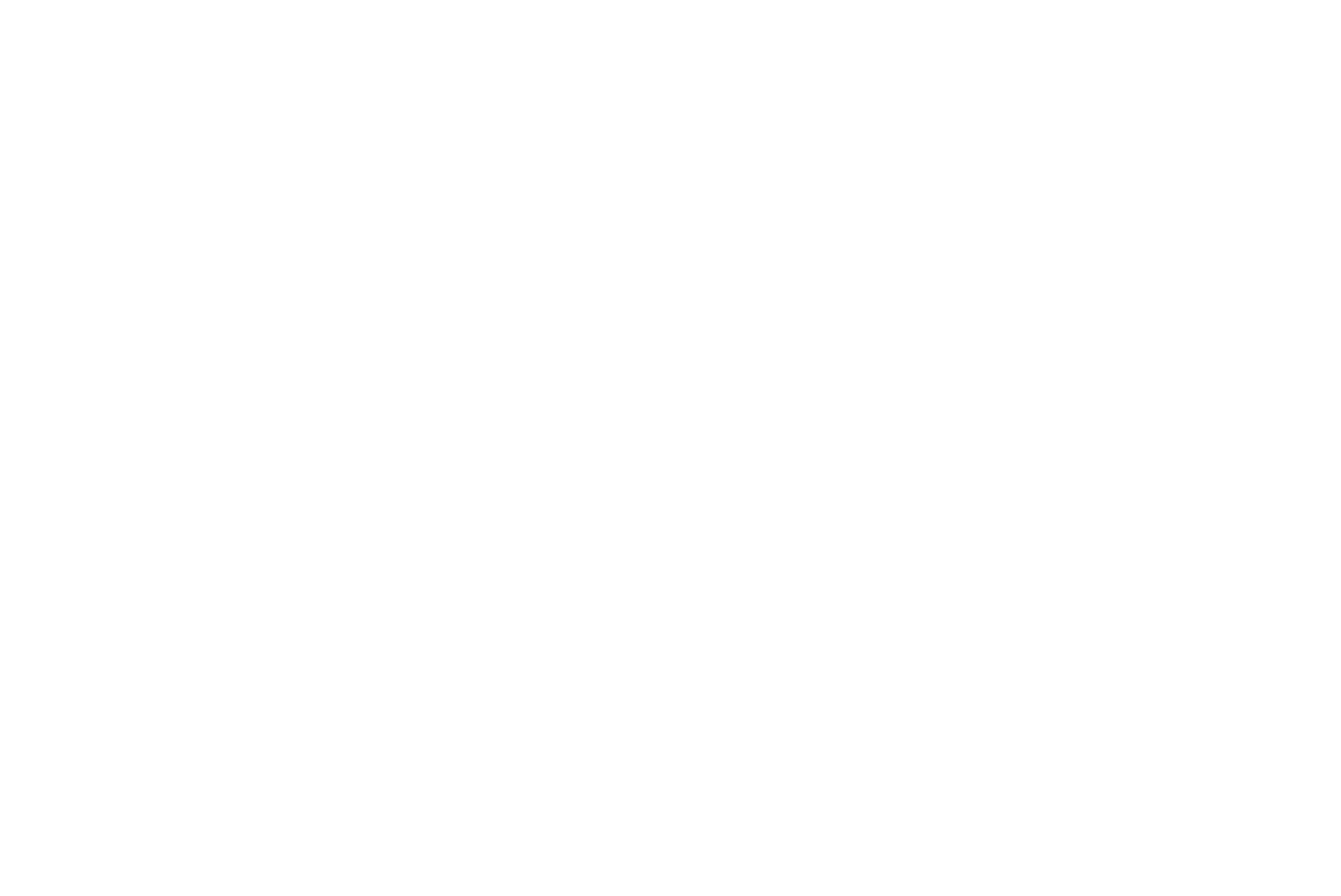 A part of Lyvia group