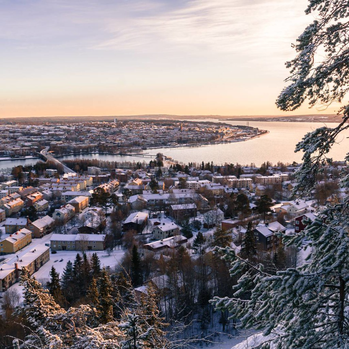 SEO i Östersund med Våning 18