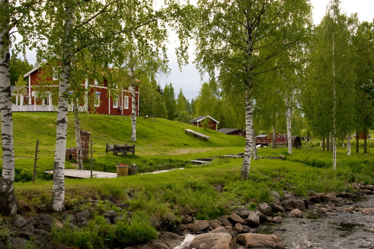 SEO-specialister i Piteå