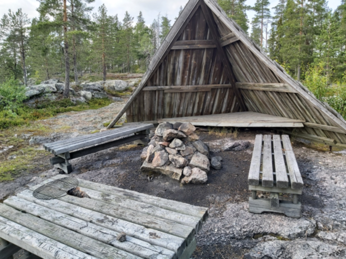 SEO-investering i Piteå