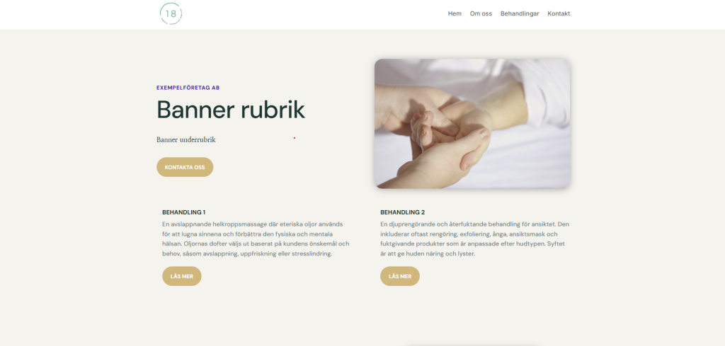 Picture of a website template 2